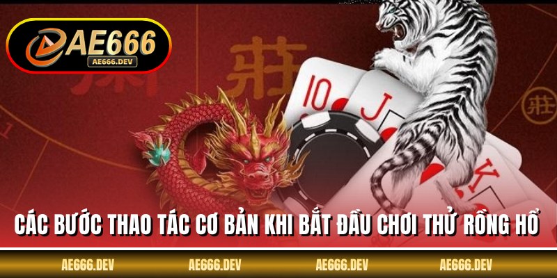 Các bước thao tác cơ bản khi bắt đầu chơi thử rồng hổ