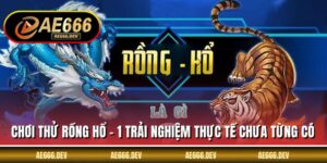 Chơi Thử Rồng Hổ - 1 Trải Nghiệm Thực Tế Chưa Từng Có