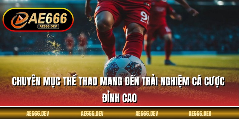 Chuyên mục thể thao mang đến trải nghiệm cá cược đỉnh cao
