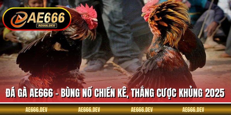 Đá Gà AE666 - Bùng Nổ Chiến Kê, Thắng Cược Khủng 2025