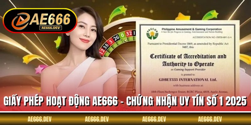 Giấy Phép Hoạt Động AE666 - Chứng Nhận Uy Tín Số 1 2025