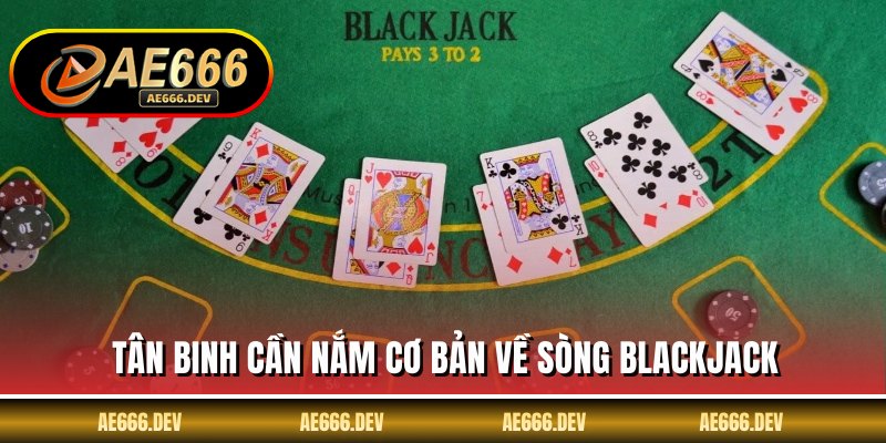 Tân binh cần nắm cơ bản về sòng Blackjack